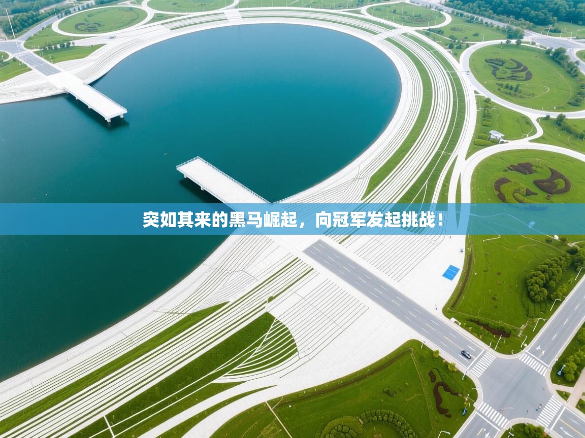 突如其来的黑马崛起,向冠军发起挑战! 第1张